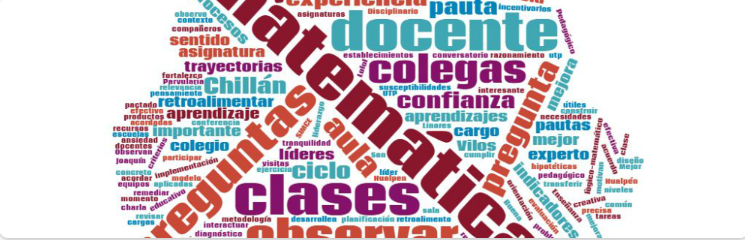 Resumen de segunda conversación en línea sobre los elementos que un líder escolar debe considerar al momento de observar y de retroalimentar a un docente que enseña matemática