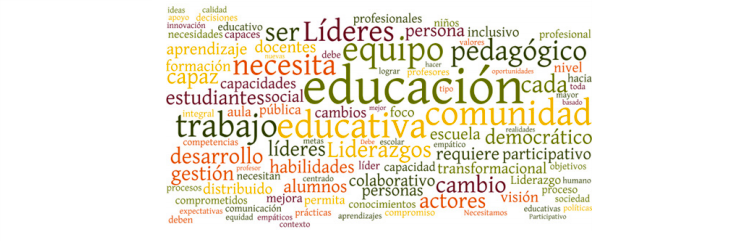 Sistematización seminario Liderazgos para una nueva educación pública y talleres de validación del Marco del Buen Liderazgo Intermedio-SLE