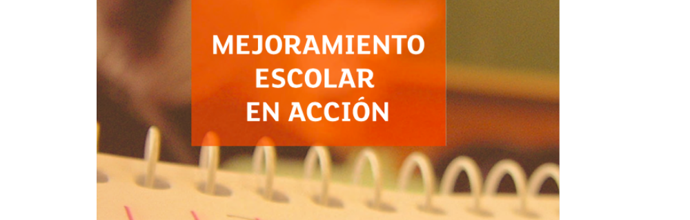 Apoyo a la inclusión – Mejoramiento escolar en Acción